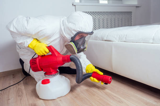Best Pest Removal Services  in Wauseon, OH