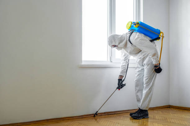 Best Termite Control Services  in Wauseon, OH
