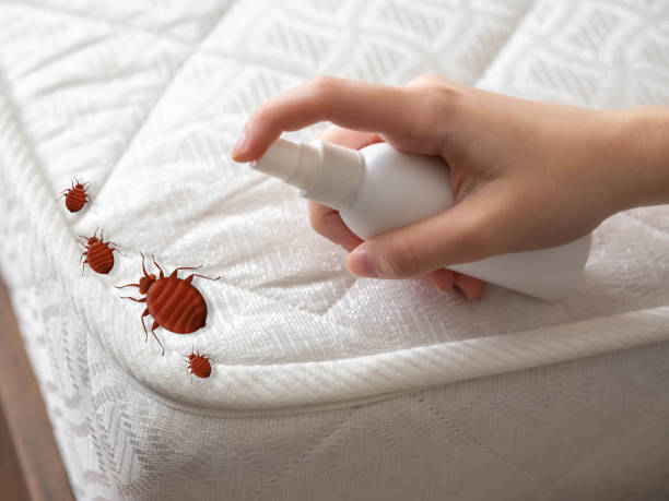 Best Commercial Pest Control Services  in Wauseon, OH