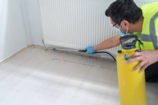 Professional Pest Control in Wauseon, OH