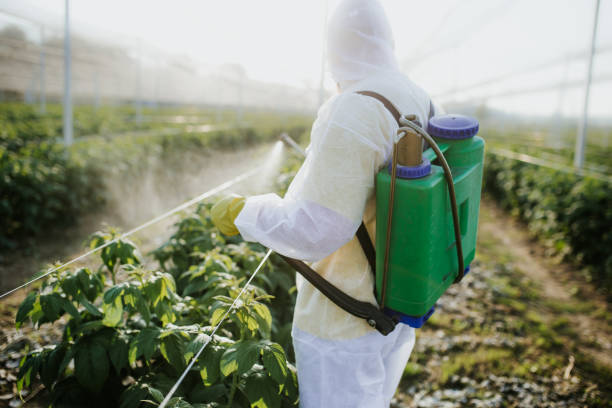 Best Pest Removal Services  in Wauseon, OH